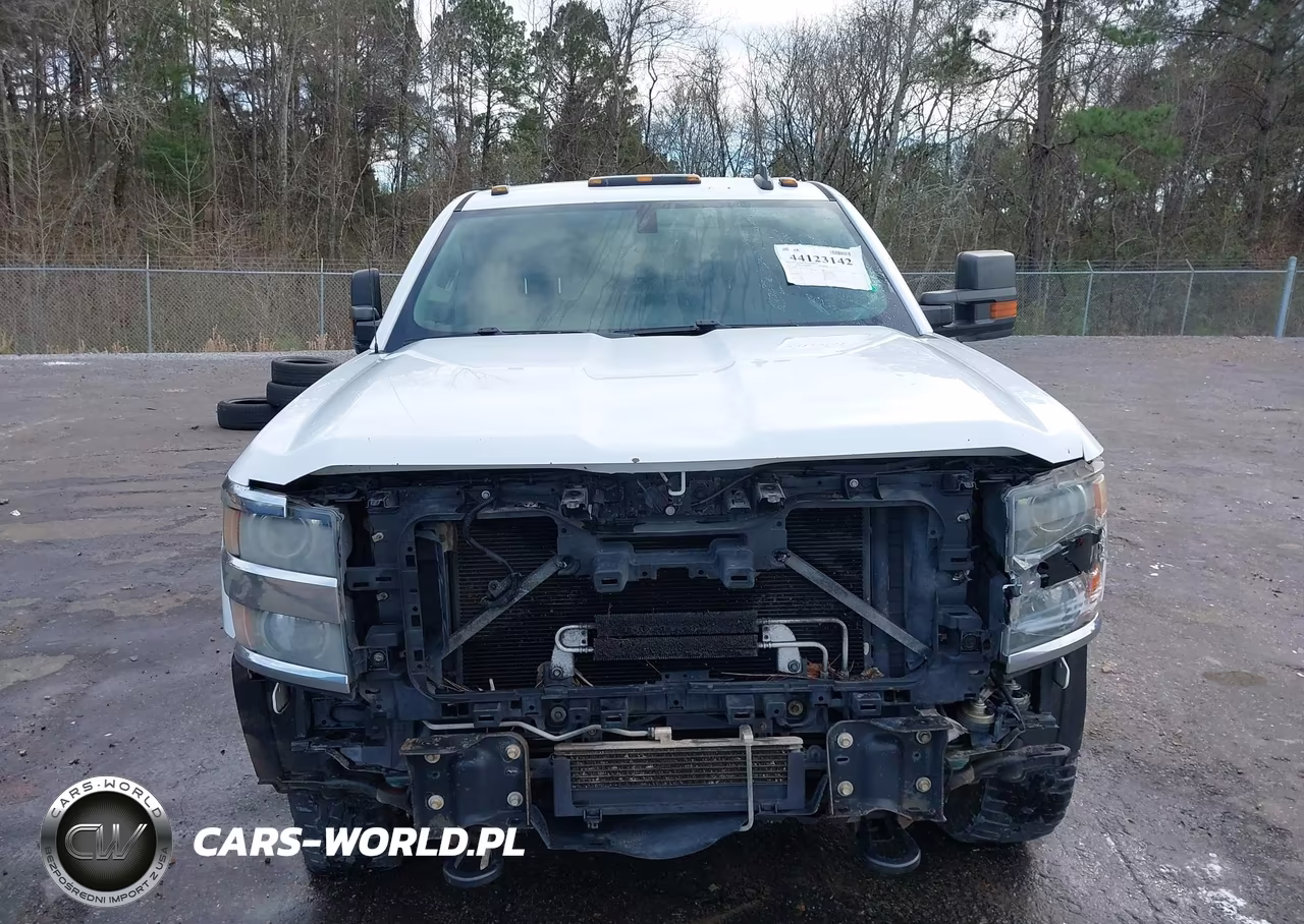2016 Chevrolet Silverado 2500Hd Wt VIN:1GC2KUEG5GZ222507 - 13
