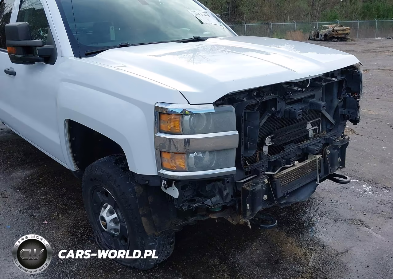 2016 Chevrolet Silverado 2500Hd Wt VIN:1GC2KUEG5GZ222507 - 18