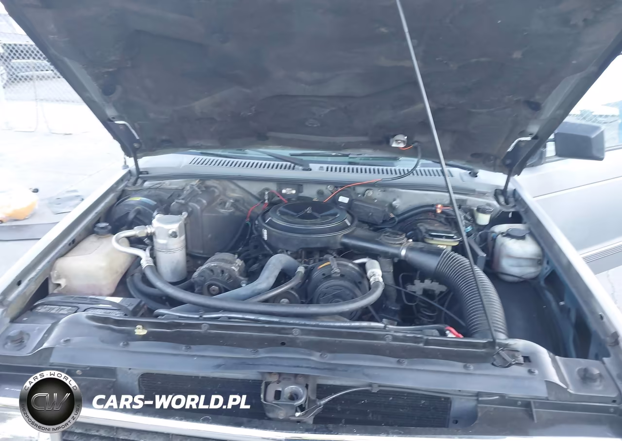 1991 Chevrolet S Truck S10 VIN:1GCCS14R2M8197427 - 10