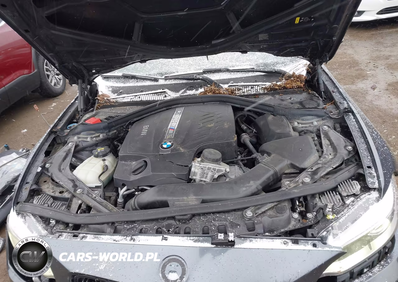 2017 BMW M2 VIN:WBS1H9C3XHV887539 - 10