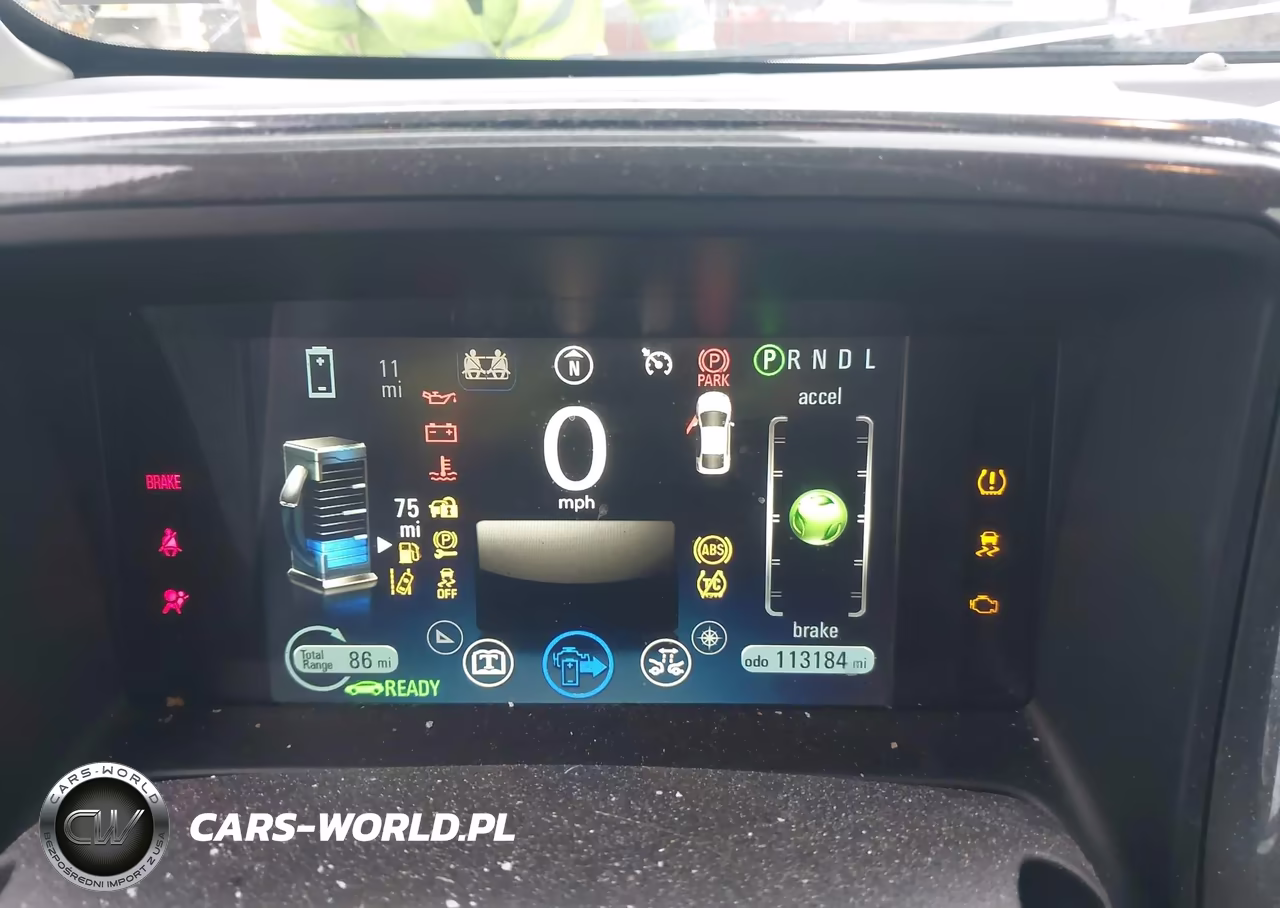 2013 Chevrolet Volt VIN:1G1RD6E49DU134359 - 13