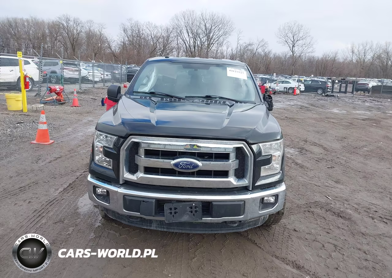 2016 Ford F150 VIN:1FTNF1EG9GKF42485 - 12