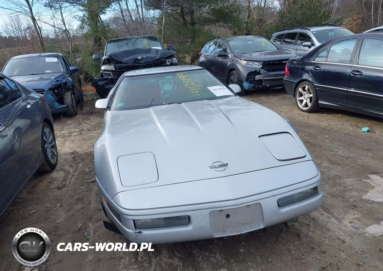 1996 Chevrolet Corvette VIN:1G1YY22P4T5103228 - 12