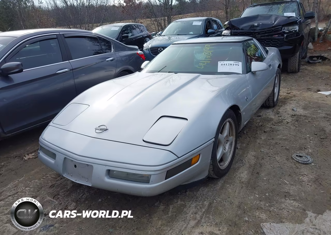 1996 Chevrolet Corvette VIN:1G1YY22P4T5103228 - 2
