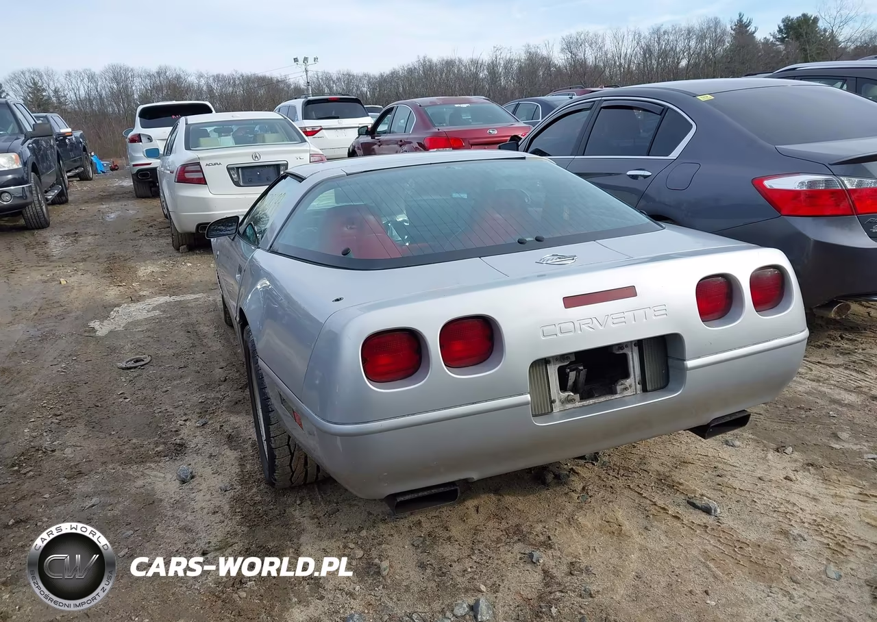 1996 Chevrolet Corvette VIN:1G1YY22P4T5103228 - 3