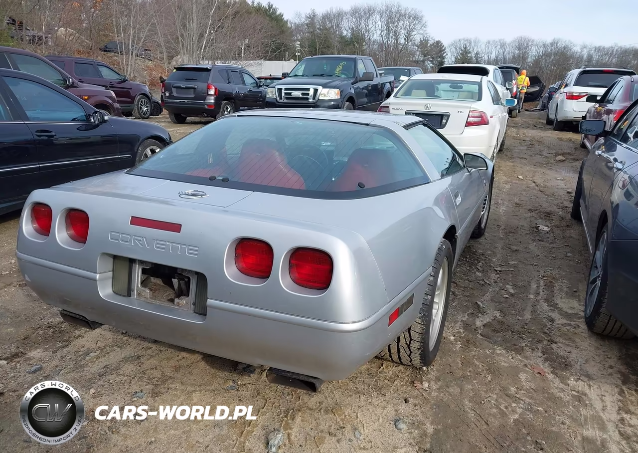 1996 Chevrolet Corvette VIN:1G1YY22P4T5103228 - 4