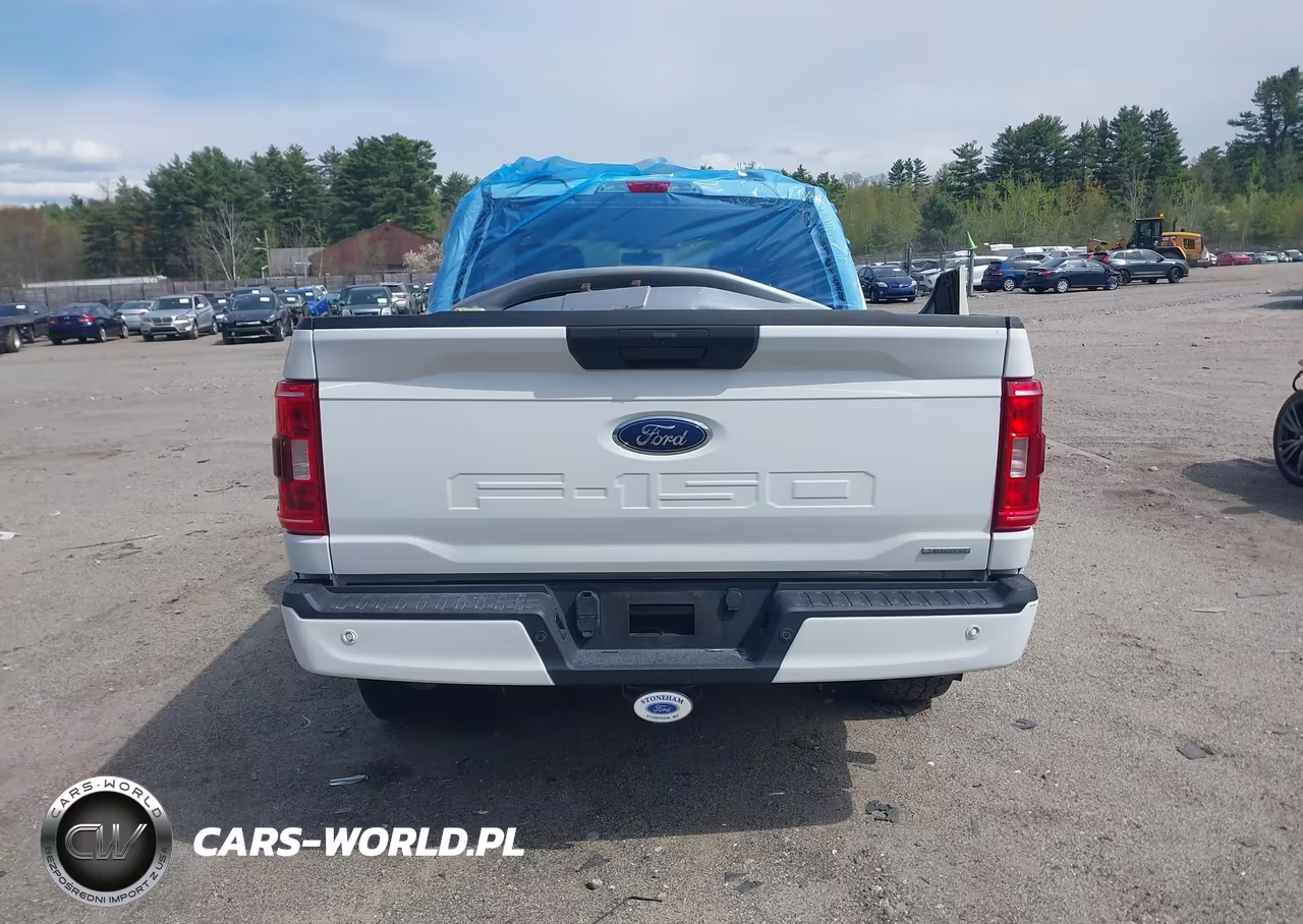 2021 Ford F-150 Xl VIN:1FTEW1EP7MFC96895 - 17