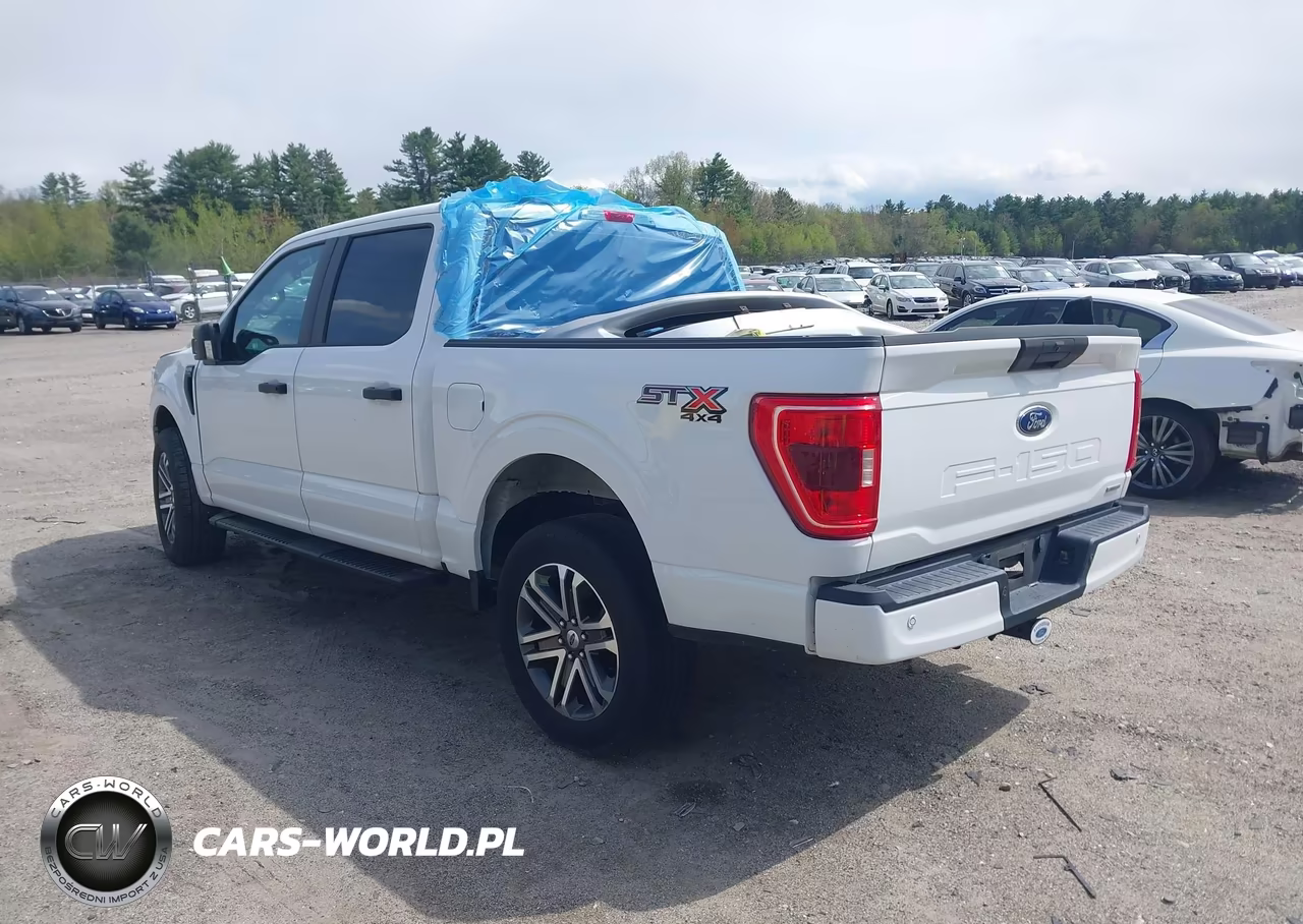 2021 Ford F-150 Xl VIN:1FTEW1EP7MFC96895 - 3