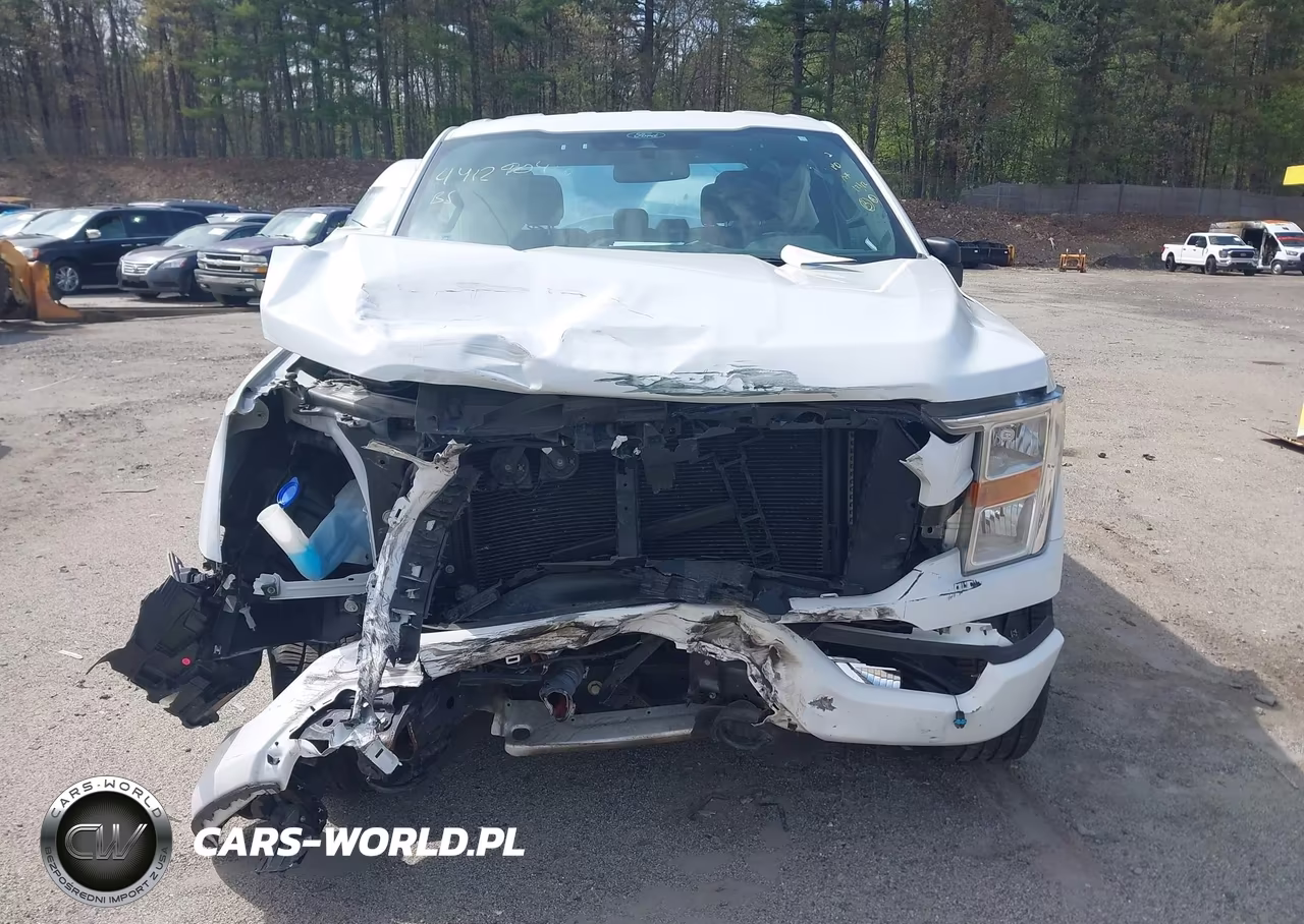 2021 Ford F-150 Xl VIN:1FTEW1EP7MFC96895 - 6