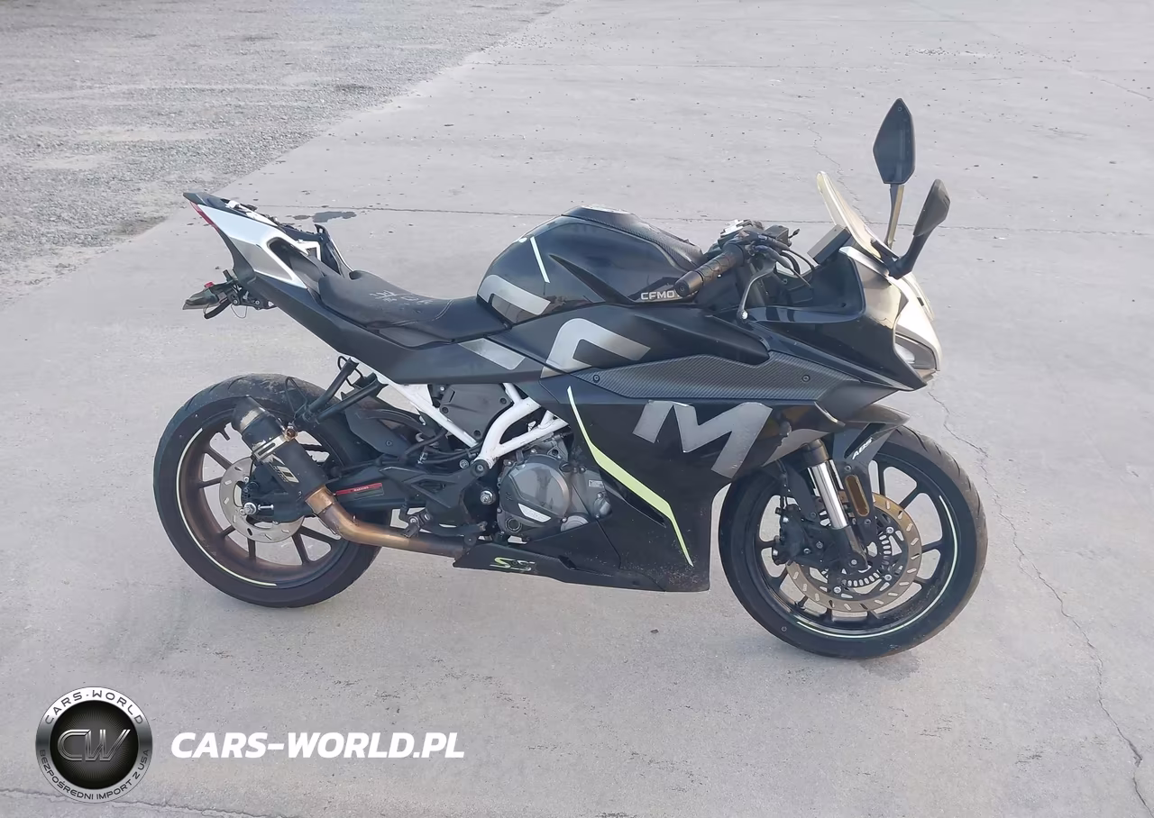 2022 Cf Moto 300Ss VIN:LCEPDPL39N6000505 - 12