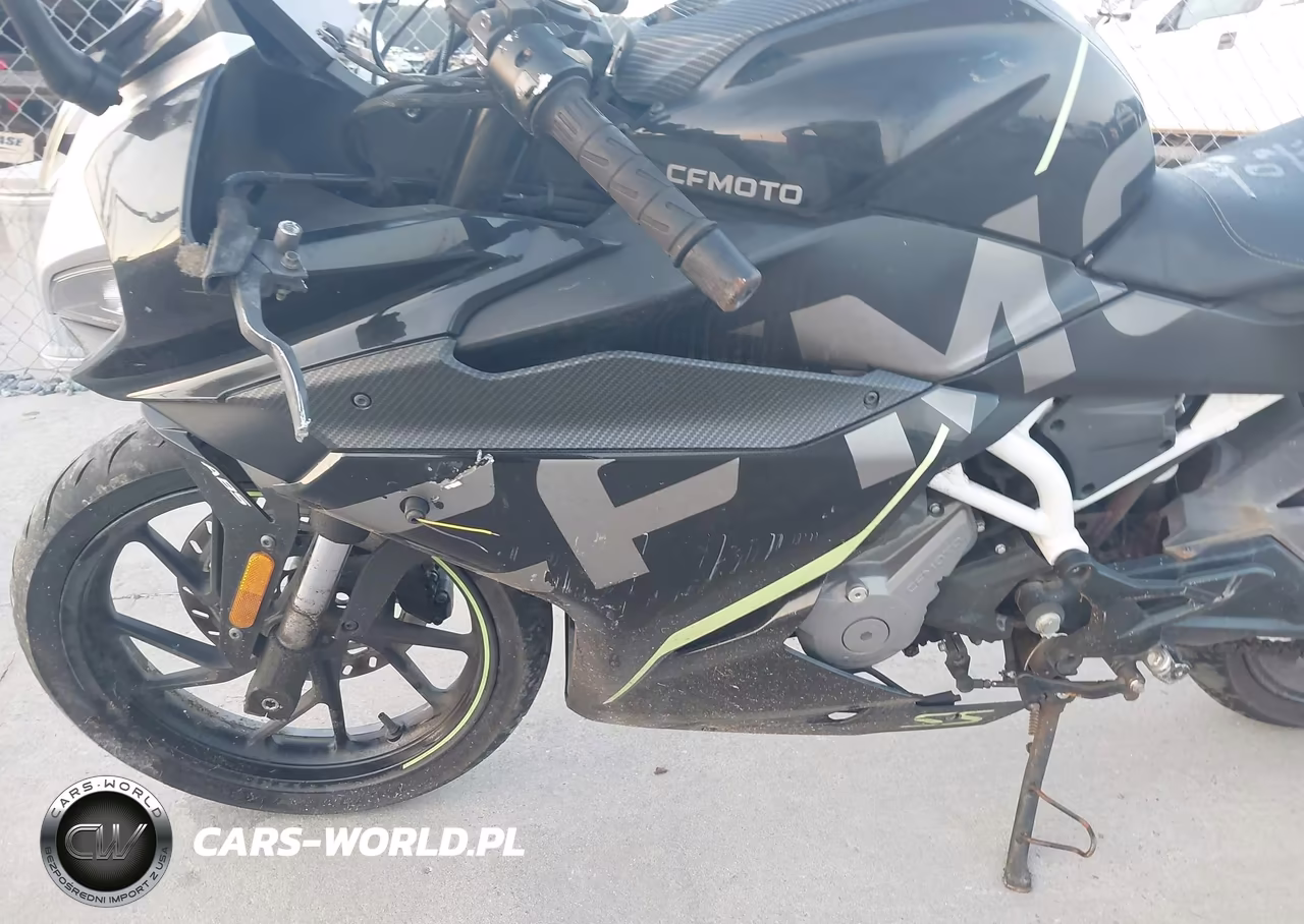 2022 Cf Moto 300Ss VIN:LCEPDPL39N6000505 - 16