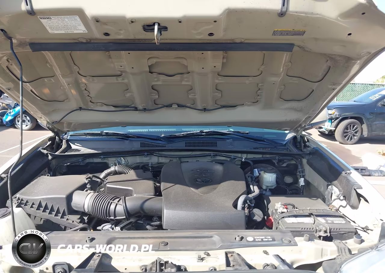 2019 Toyota Tacoma Sr5 V6 VIN:3TMAZ5CN5KM093399 - 10