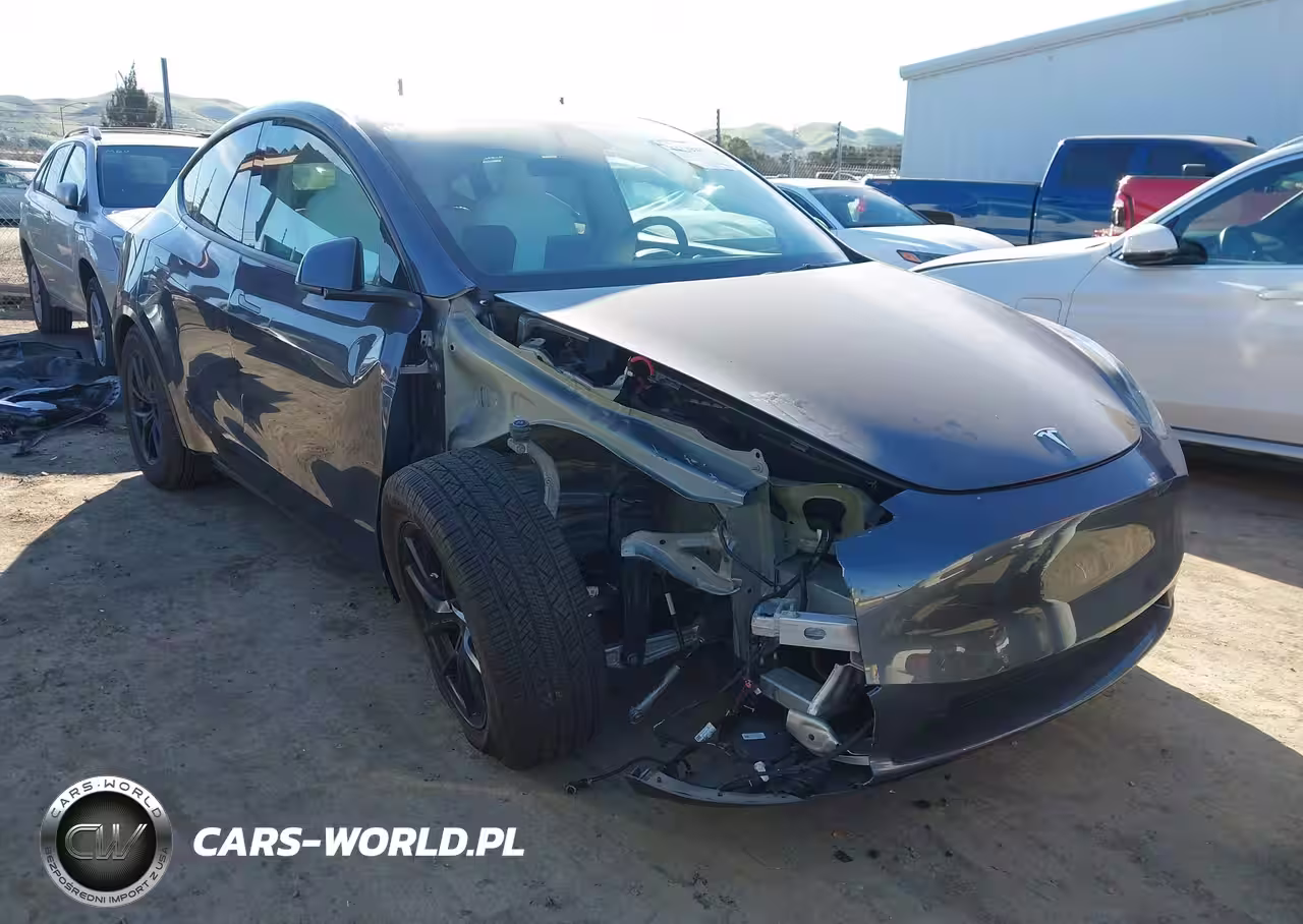 2022 Tesla Model Y Performance Dual Motor All-Wheel Drive