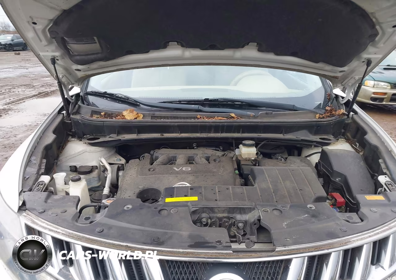 2009 Nissan Murano Sl VIN:JN8AZ18U69W025278 - 10