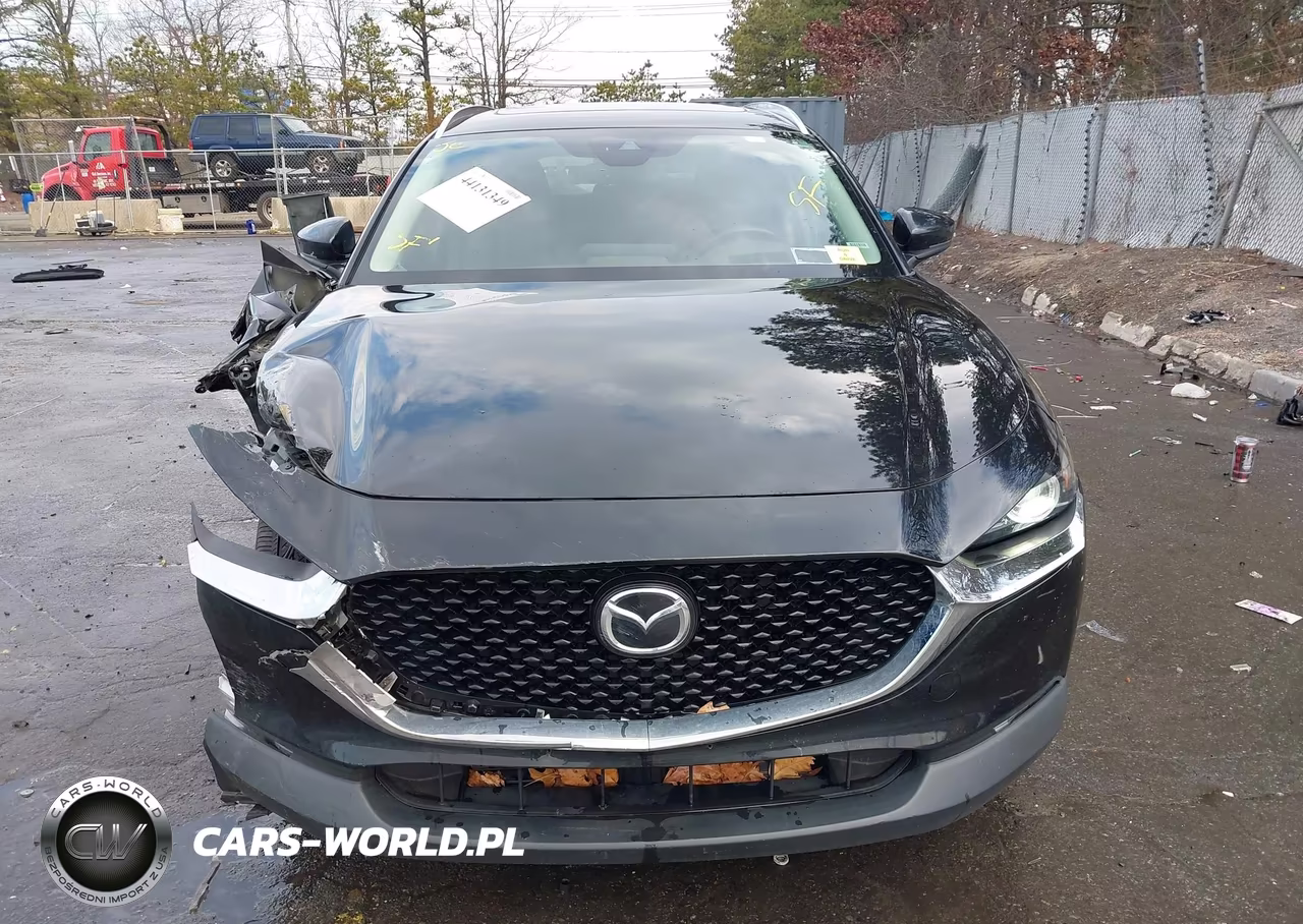 2023 Mazda Cx-30 2.5 S Premium VIN:3MVDMBDM4PM527754 - 12