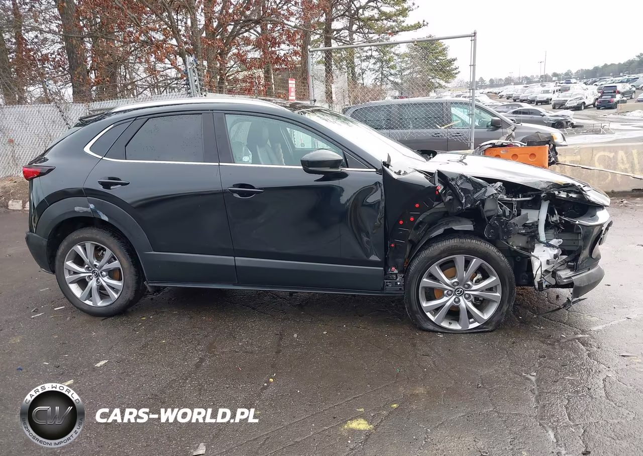 2023 Mazda Cx-30 2.5 S Premium VIN:3MVDMBDM4PM527754 - 13