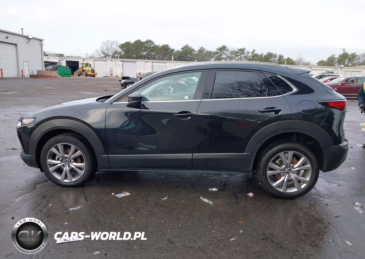 2023 Mazda Cx-30 2.5 S Premium VIN:3MVDMBDM4PM527754 - 14
