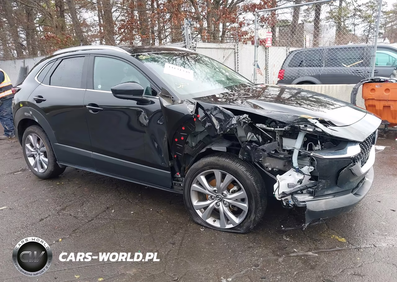 2023 Mazda Cx-30 2.5 S Premium VIN:3MVDMBDM4PM527754 - 6