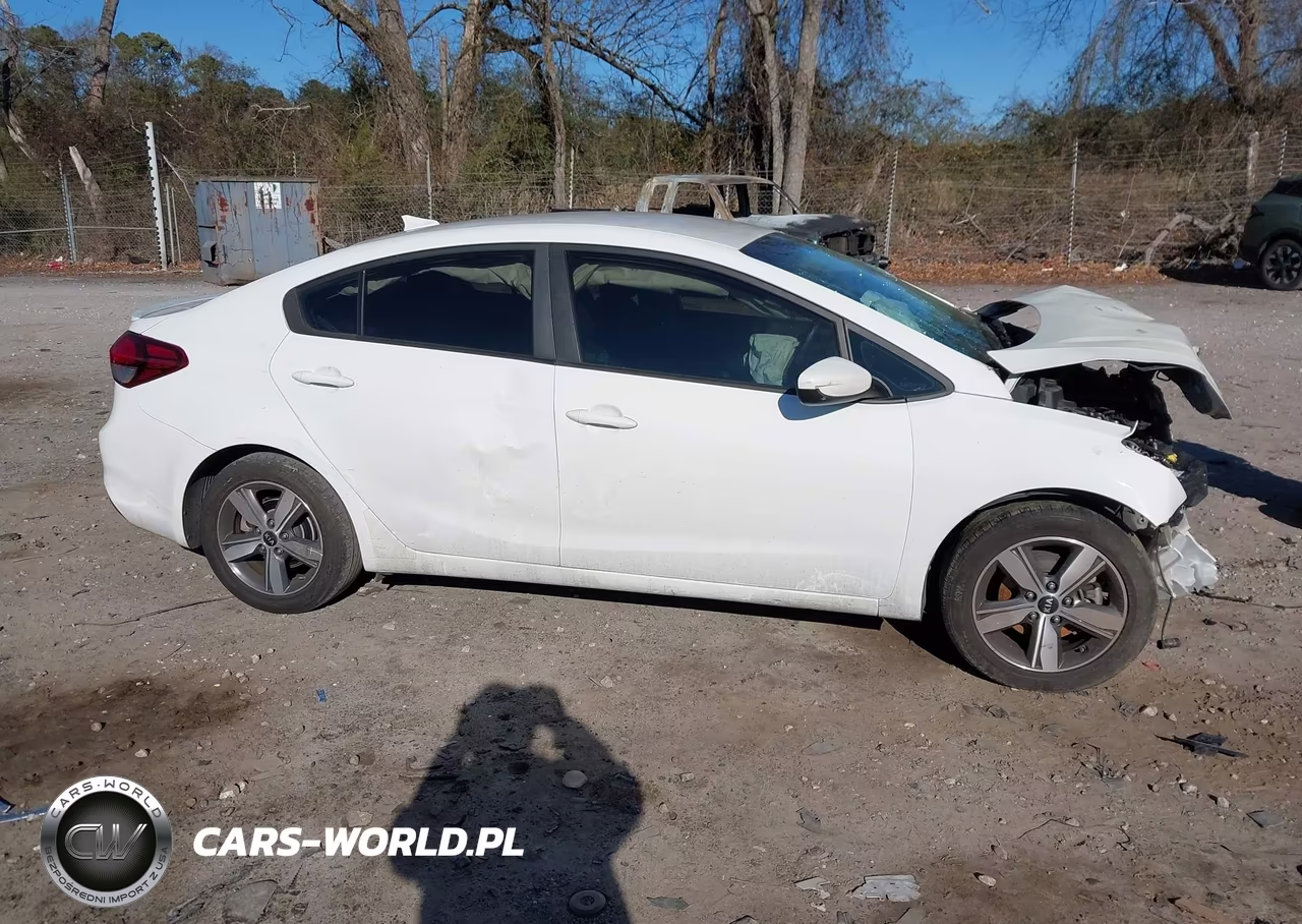 2018 Kia Forte S VIN:3KPFL4A79JE263794 - 13