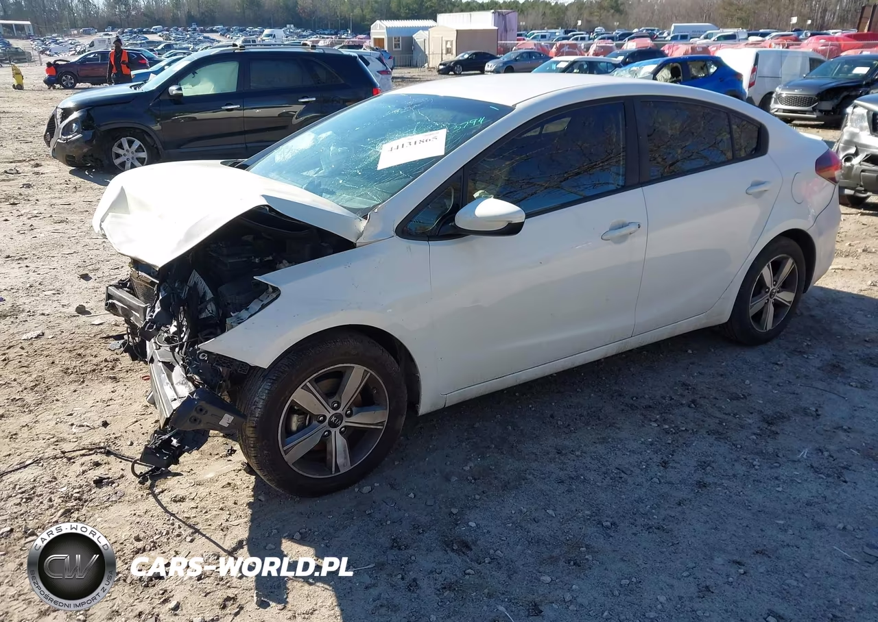2018 Kia Forte S VIN:3KPFL4A79JE263794 - 2