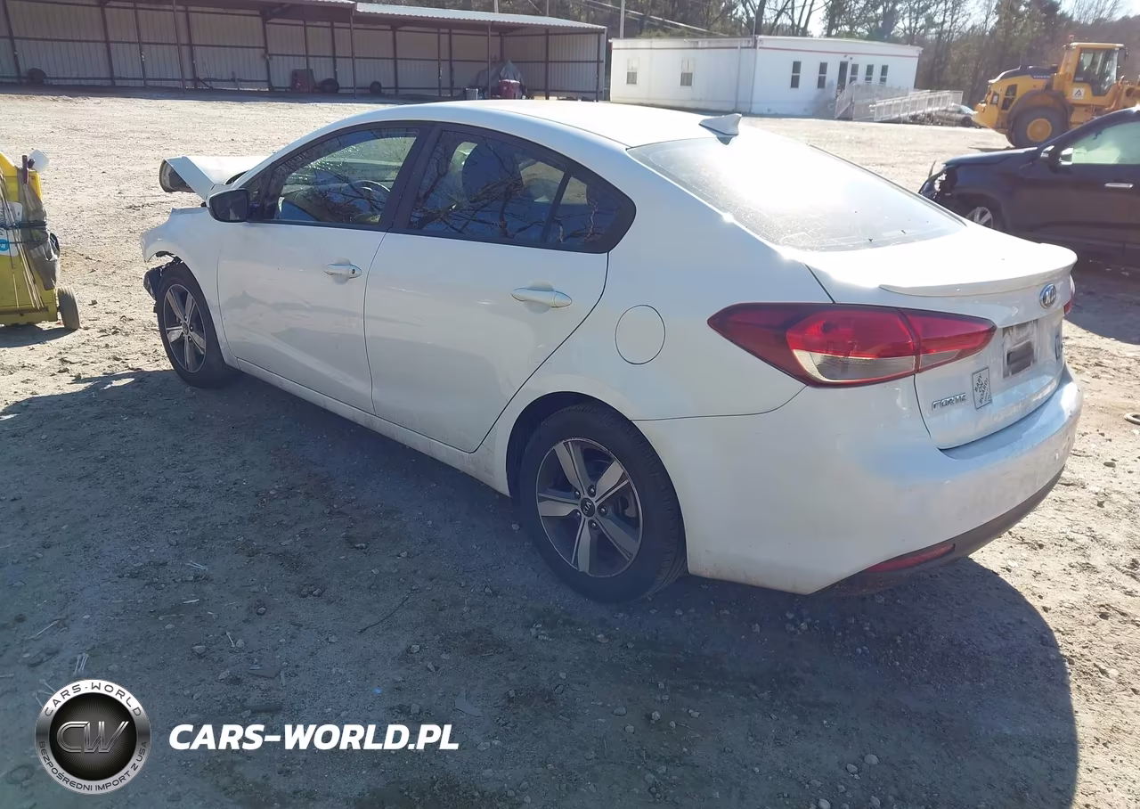 2018 Kia Forte S VIN:3KPFL4A79JE263794 - 3
