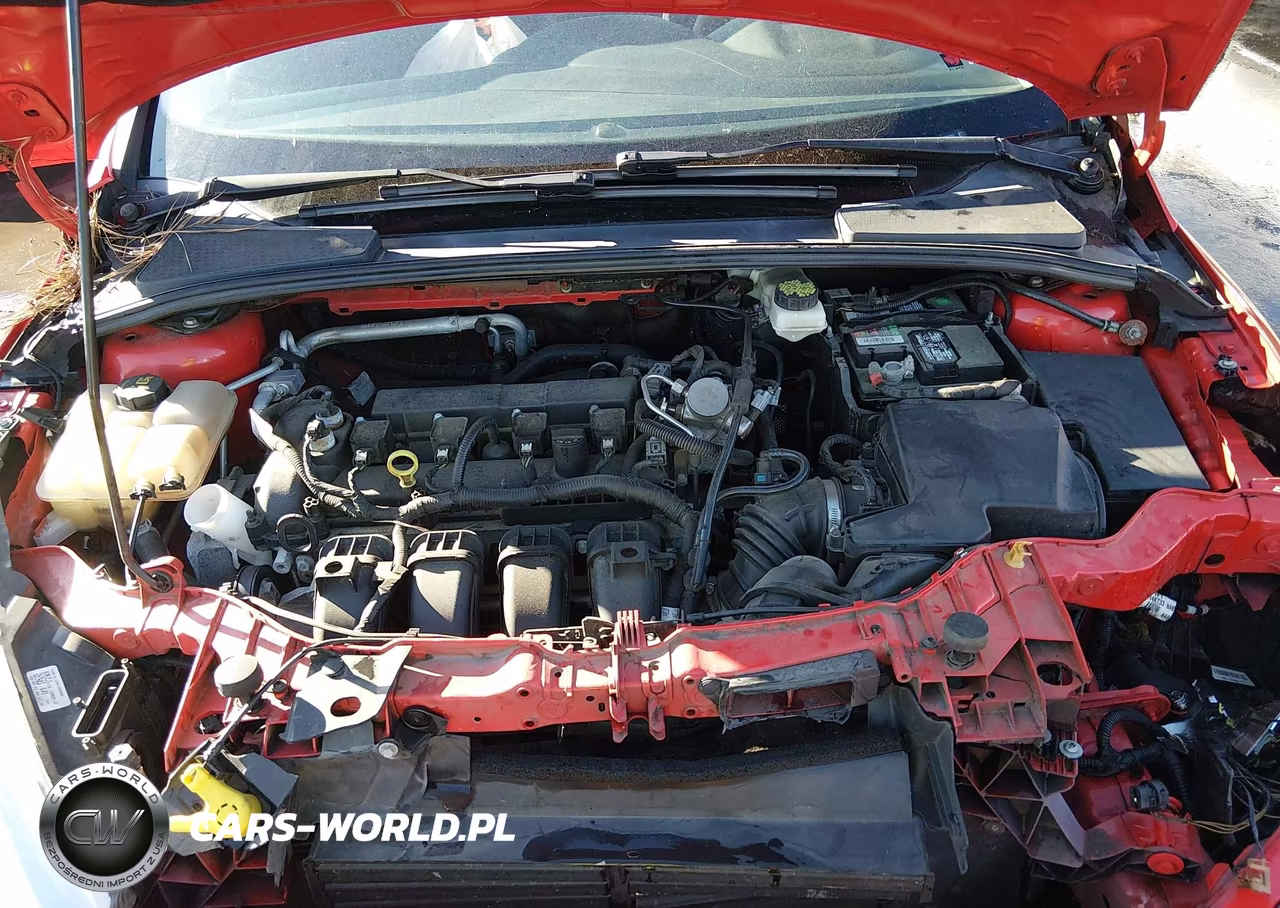 2017 Ford Focus Se VIN:1FADP3F29HL259691 - 10