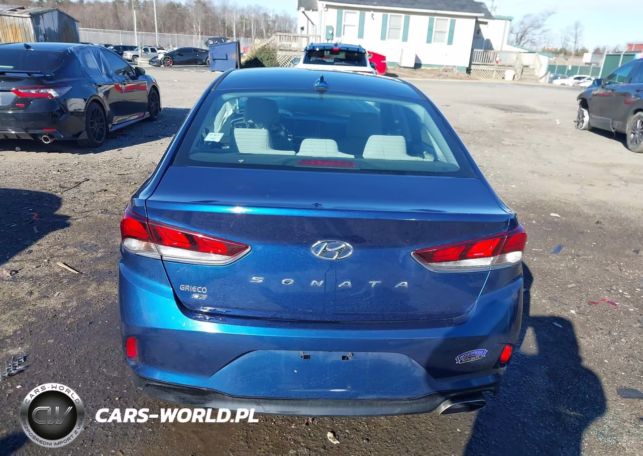 2019 Hyundai Sonata Se VIN:5NPE24AF8KH799672 - 17