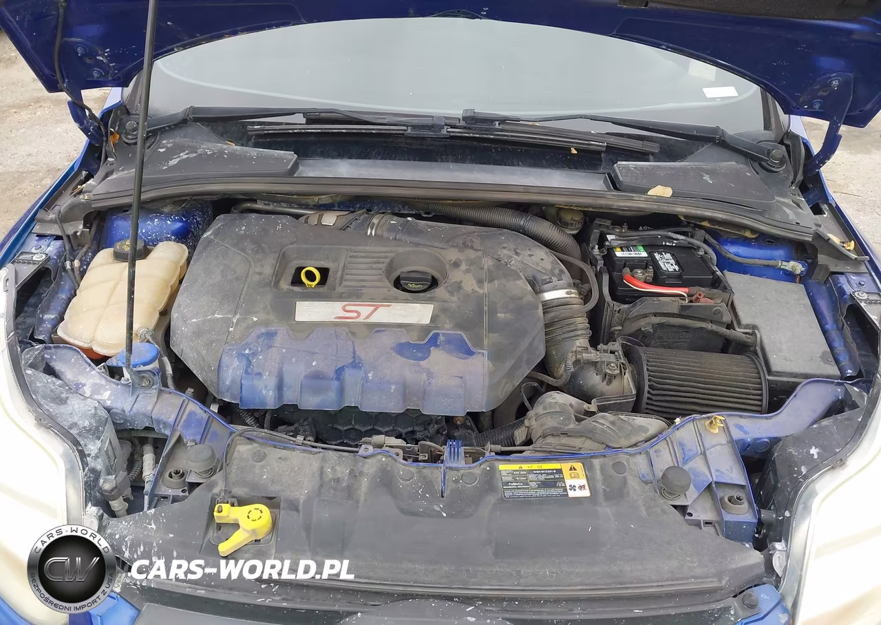 2013 Ford Focus St VIN:1FADP3L95DL364627 - 10