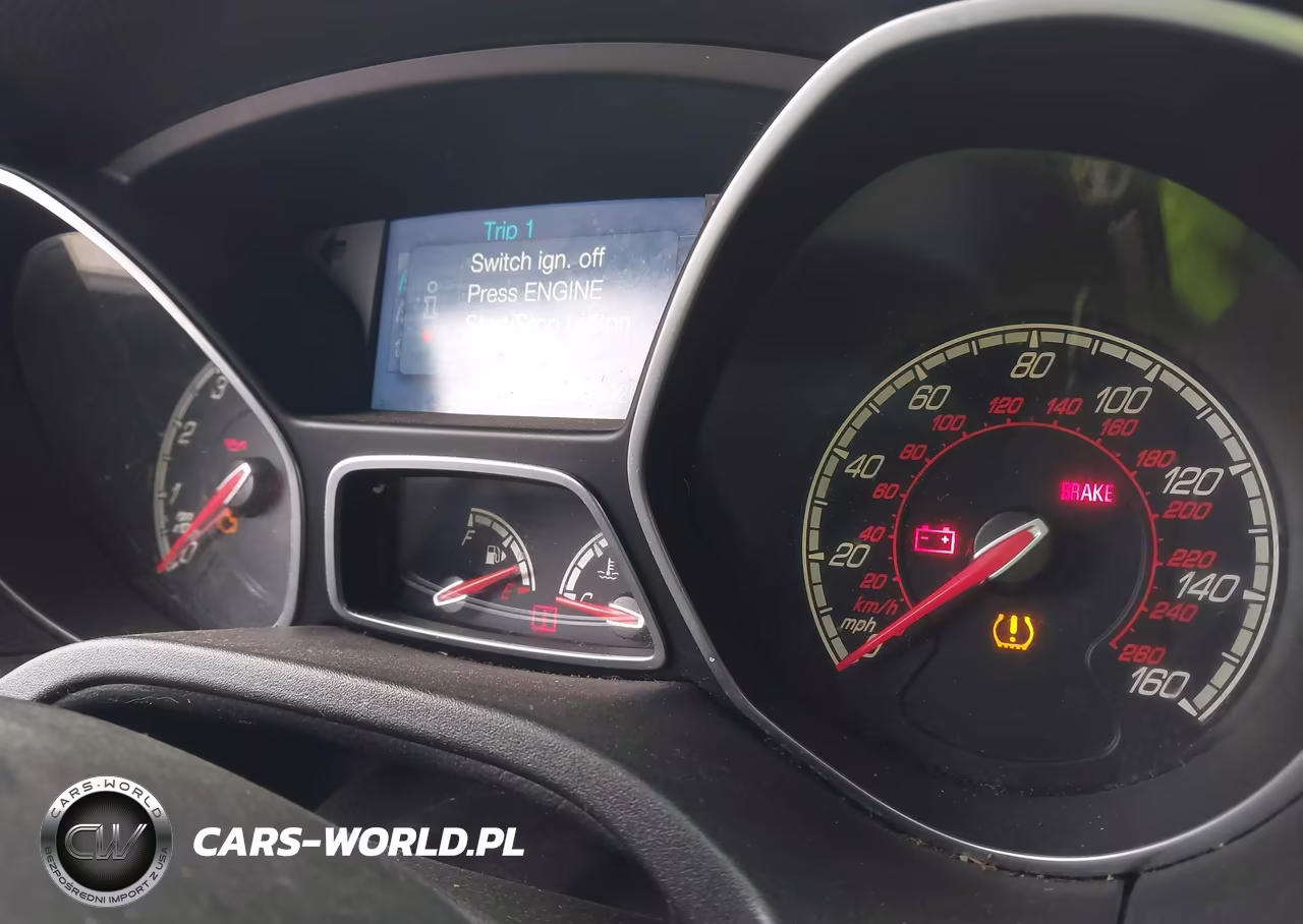 2013 Ford Focus St VIN:1FADP3L95DL364627 - 7