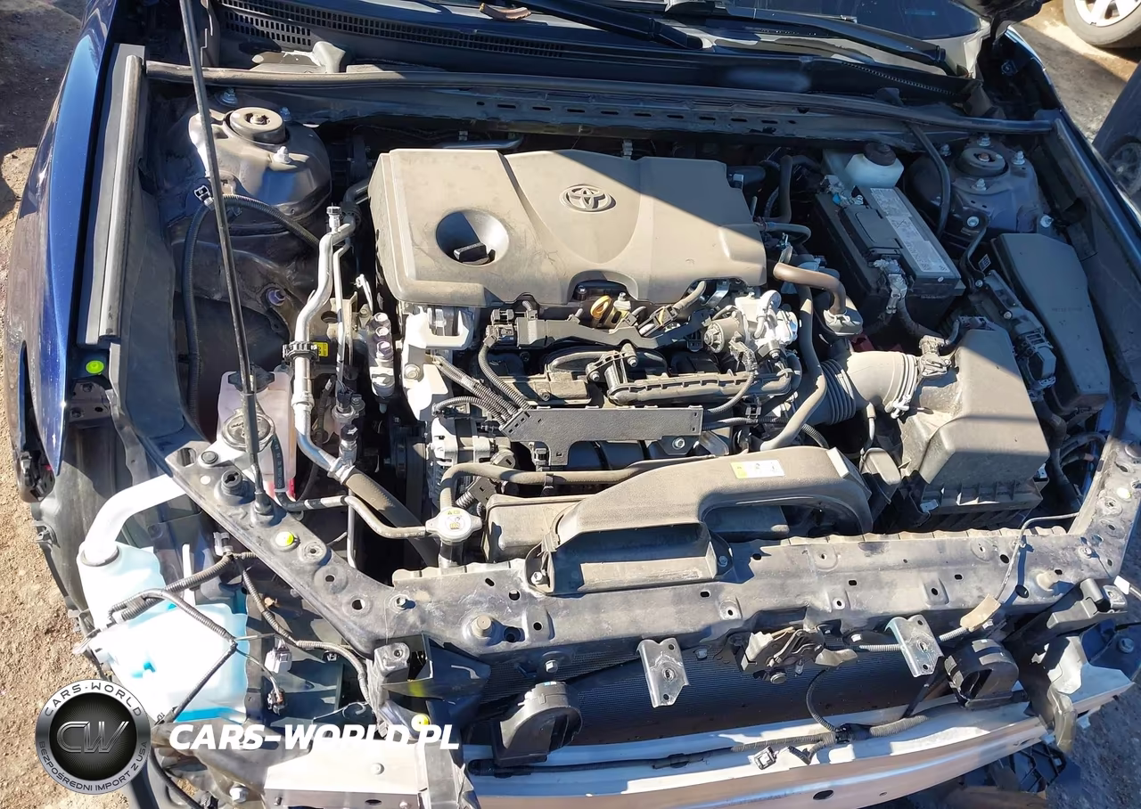 2021 Toyota Camry Le VIN:4T1C11AKXMU406541 - 10