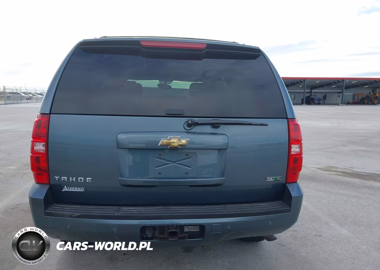 2010 Chevrolet Tahoe Lt VIN:1GNUKBE0XAR279770 - 17