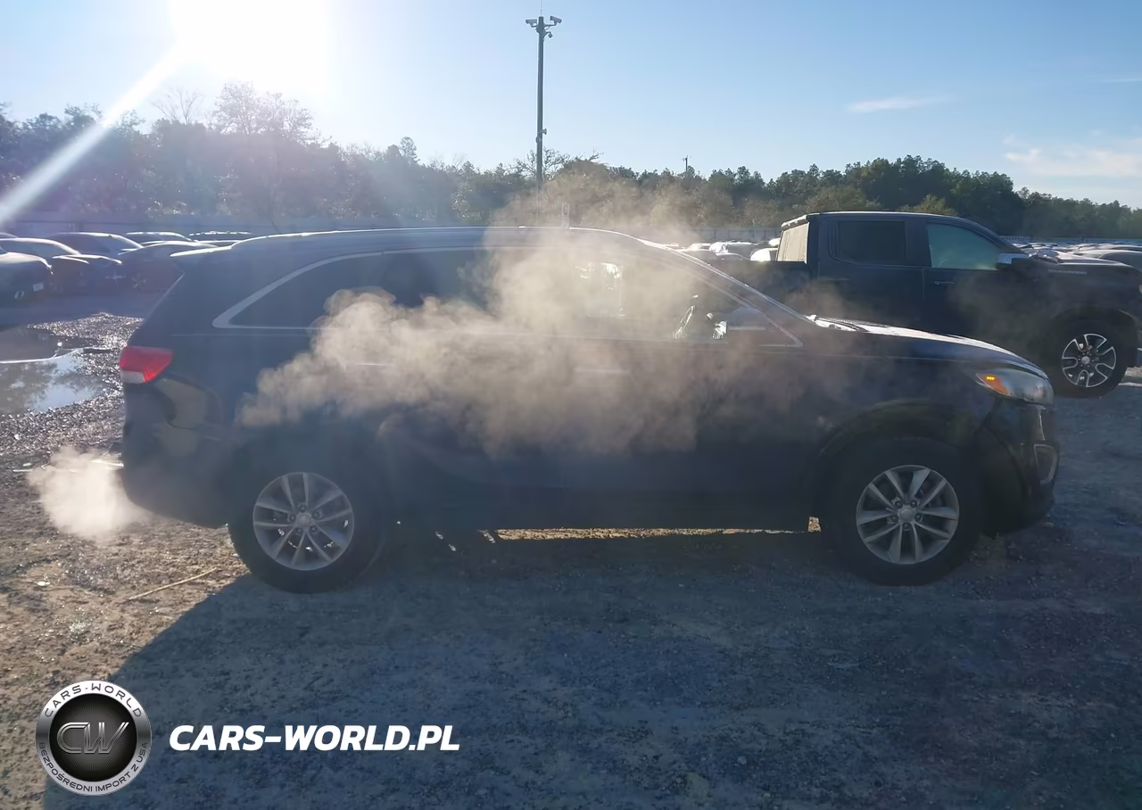 2018 Kia Sorento 3.3L Lx VIN:5XYPG4A53JG372617 - 13