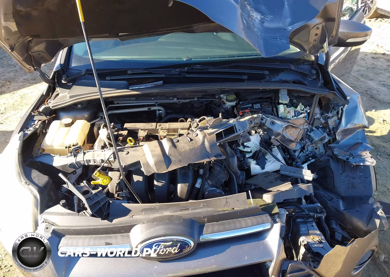 2013 Ford Focus Se VIN:1FADP3K29DL207252 - 10