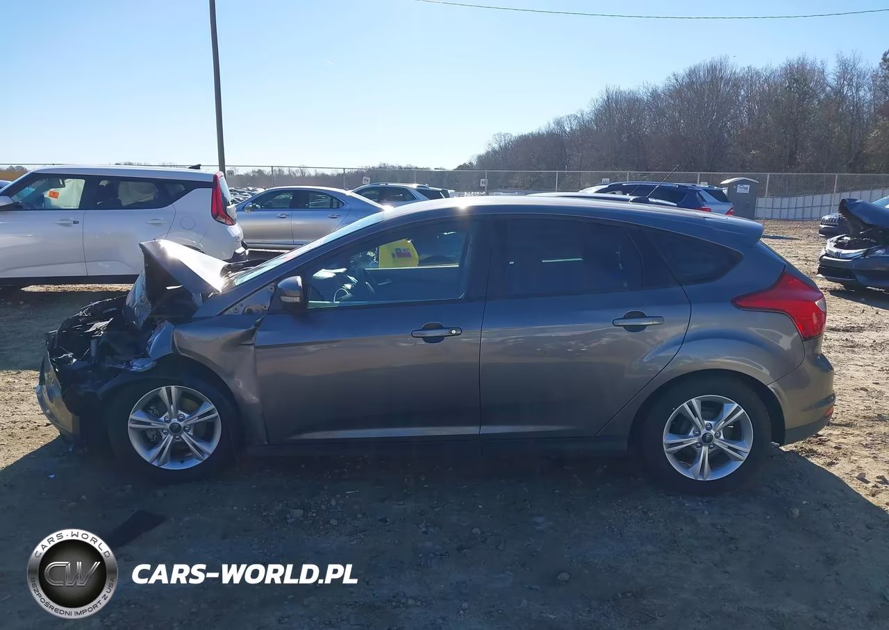 2013 Ford Focus Se VIN:1FADP3K29DL207252 - 14