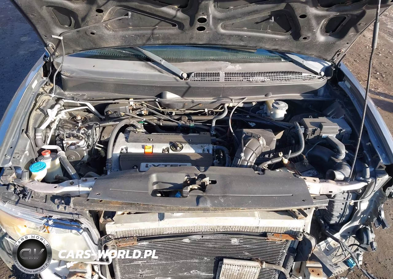 2007 Honda Element Sc VIN:5J6YH18957L000826 - 10