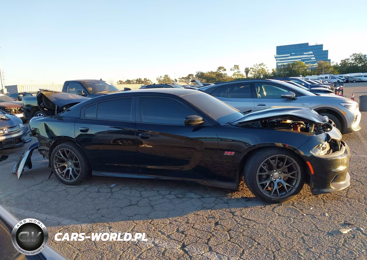 2020 Dodge Charger Scat Pack Rwd VIN:2C3CDXGJ1LH127109 - 13