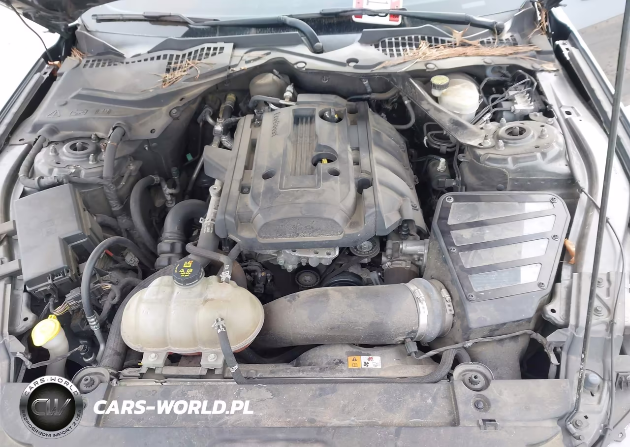 2016 Ford Mustang Ecoboost VIN:1FA6P8TH6G5304037 - 10