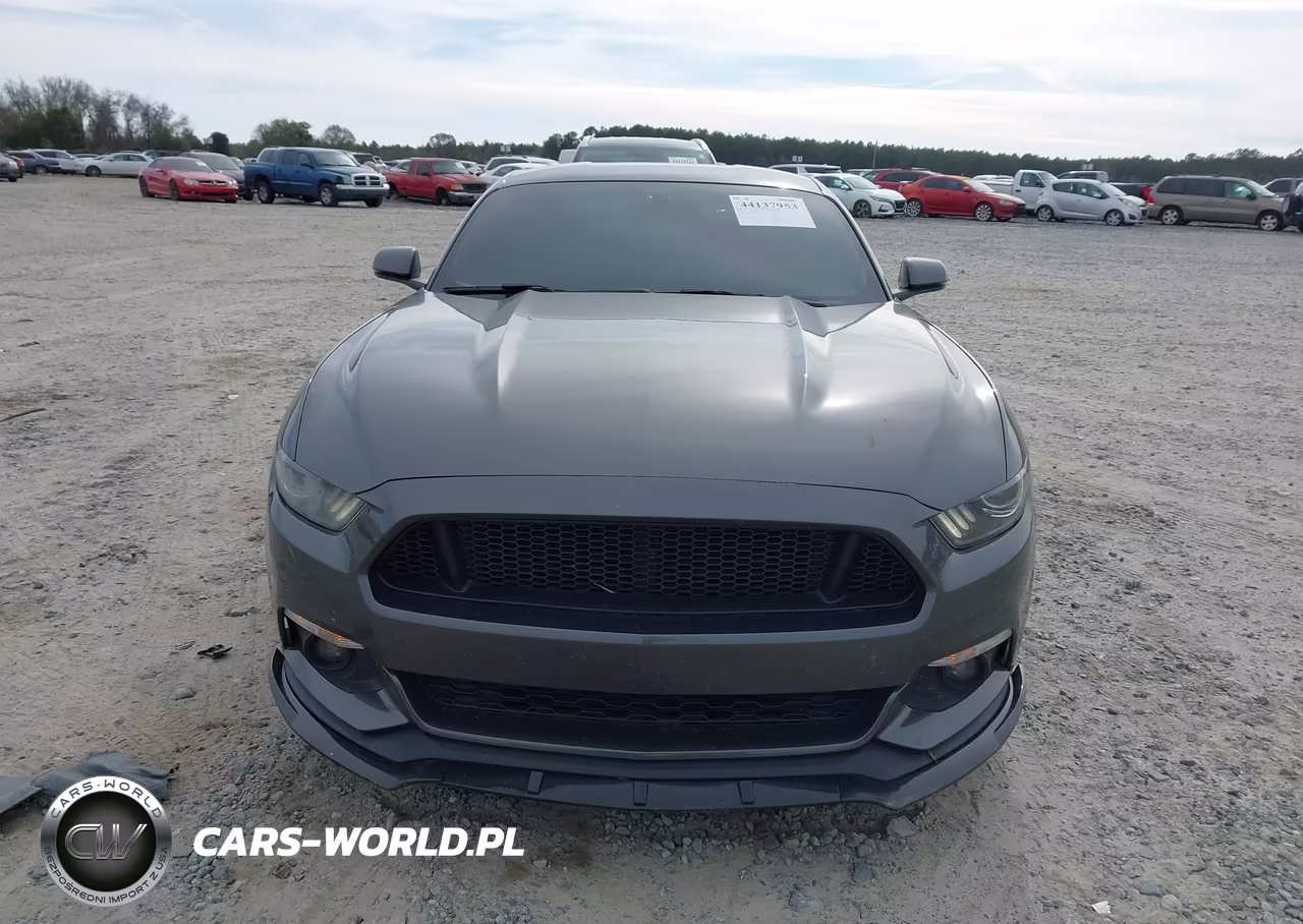 2016 Ford Mustang Ecoboost VIN:1FA6P8TH6G5304037 - 12
