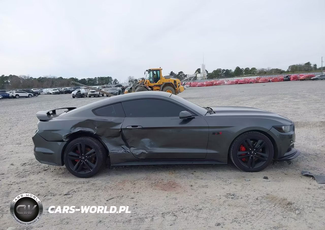 2016 Ford Mustang Ecoboost VIN:1FA6P8TH6G5304037 - 13