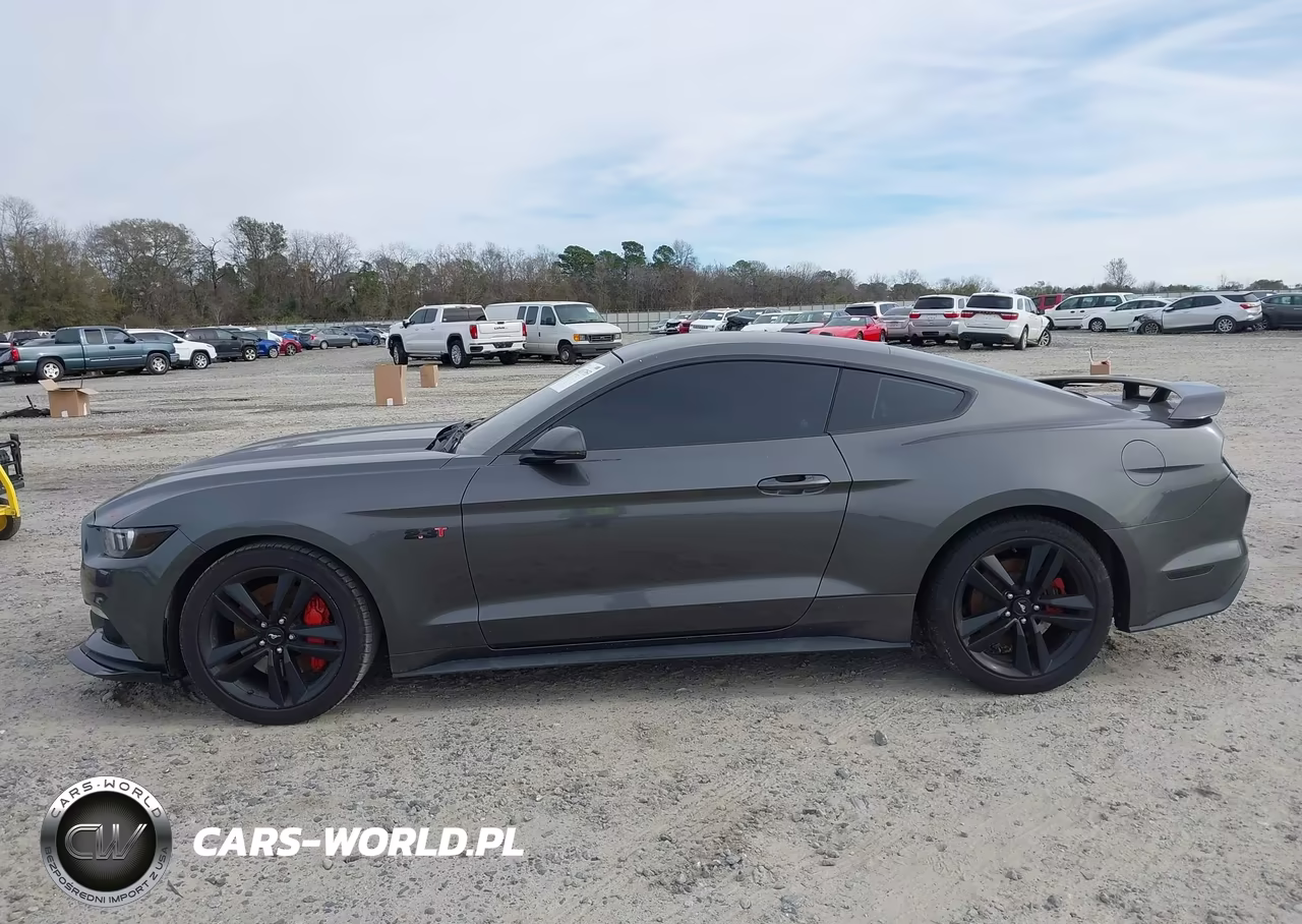 2016 Ford Mustang Ecoboost VIN:1FA6P8TH6G5304037 - 14