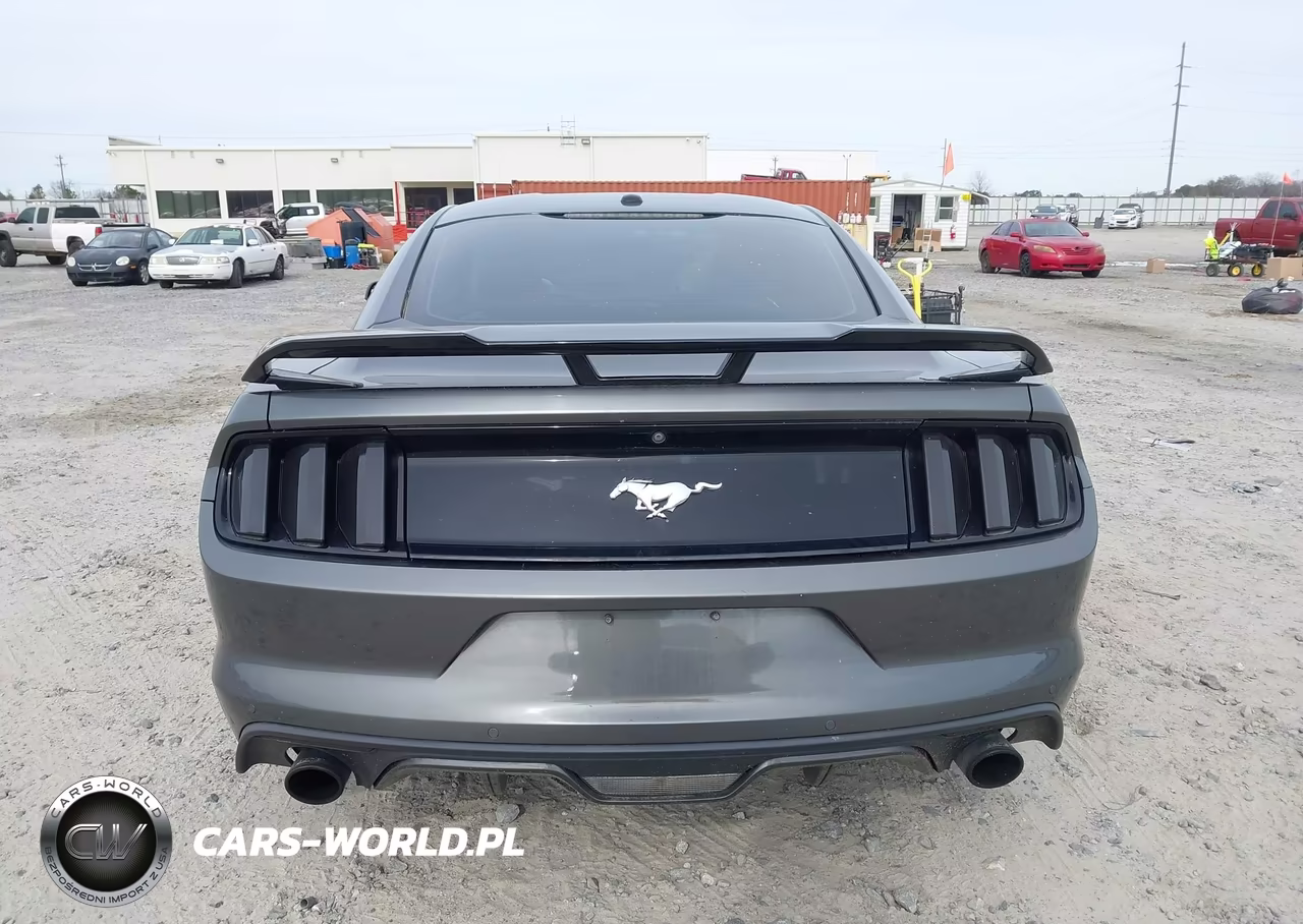 2016 Ford Mustang Ecoboost VIN:1FA6P8TH6G5304037 - 16