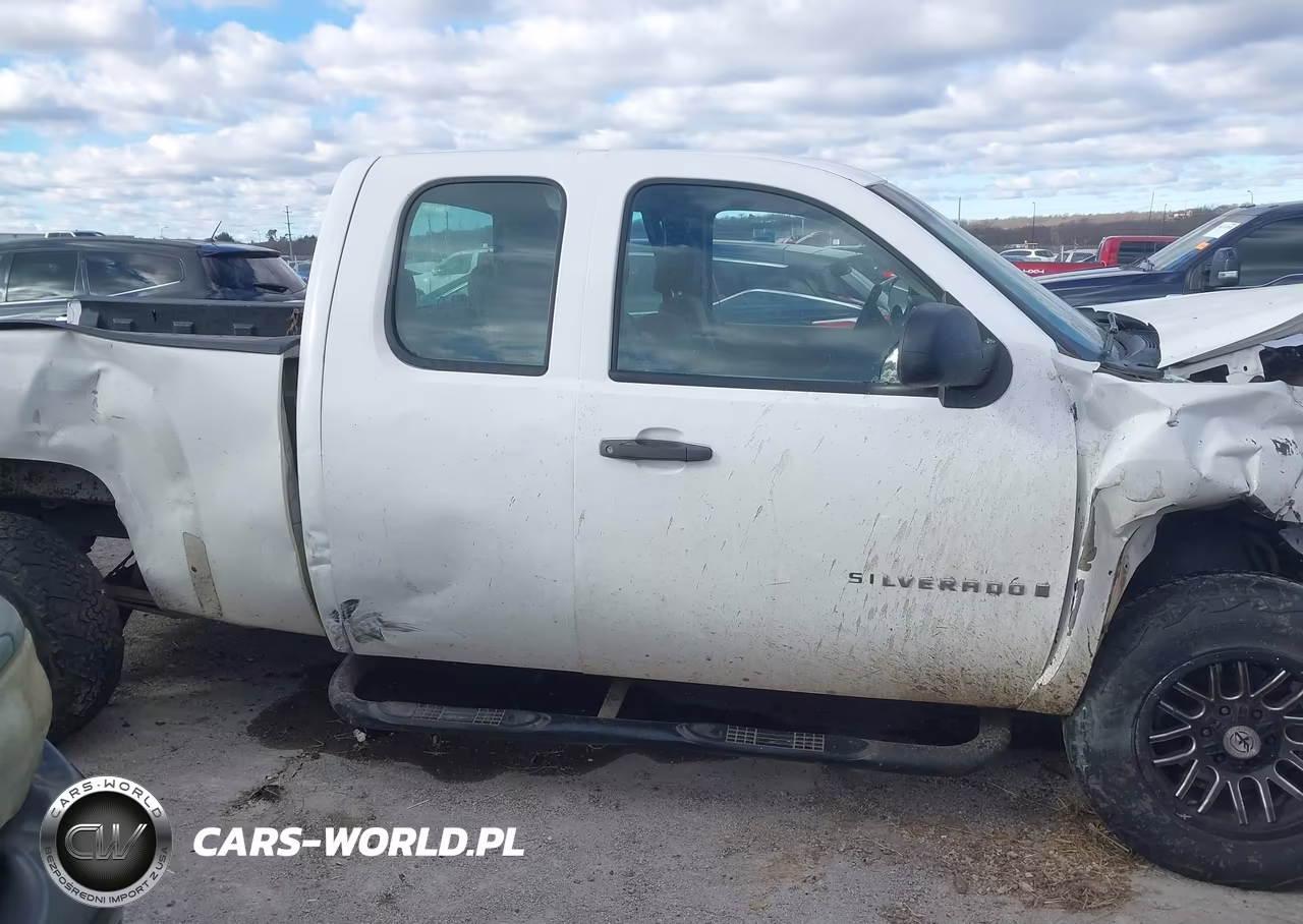 2009 Chevrolet Silverado 1500 Work Truck VIN:1GCEK19C89Z173776 - 13