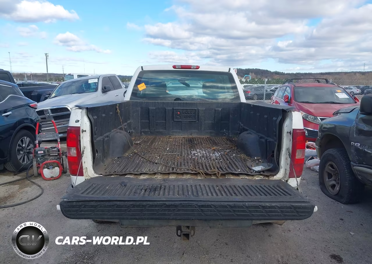 2009 Chevrolet Silverado 1500 Work Truck VIN:1GCEK19C89Z173776 - 16
