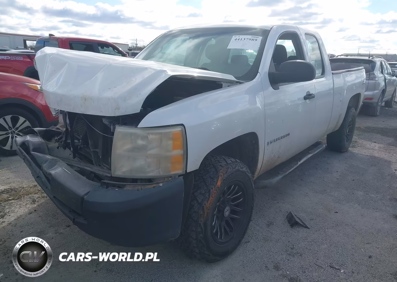2009 Chevrolet Silverado 1500 Work Truck VIN:1GCEK19C89Z173776 - 2