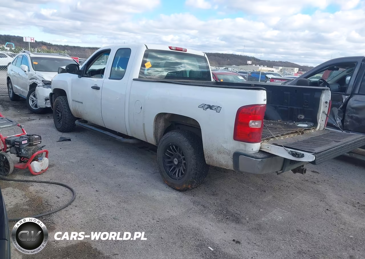 2009 Chevrolet Silverado 1500 Work Truck VIN:1GCEK19C89Z173776 - 3