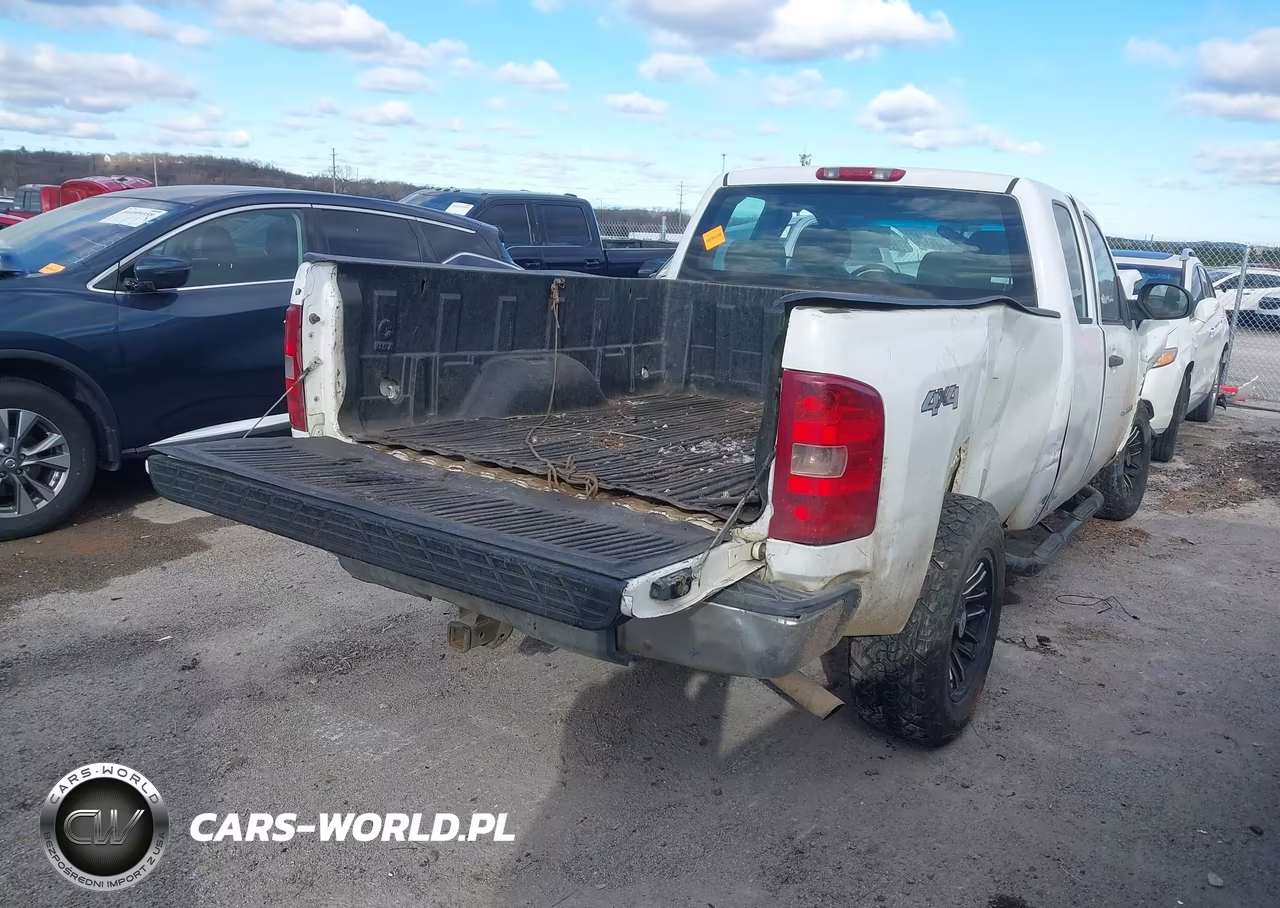 2009 Chevrolet Silverado 1500 Work Truck VIN:1GCEK19C89Z173776 - 4