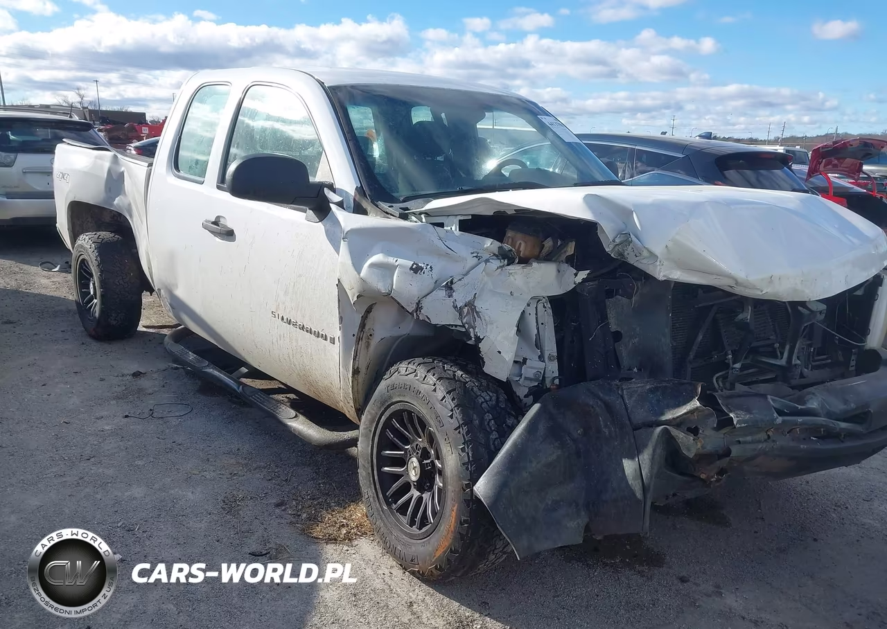 2009 Chevrolet Silverado 1500 Work Truck VIN:1GCEK19C89Z173776 - 6