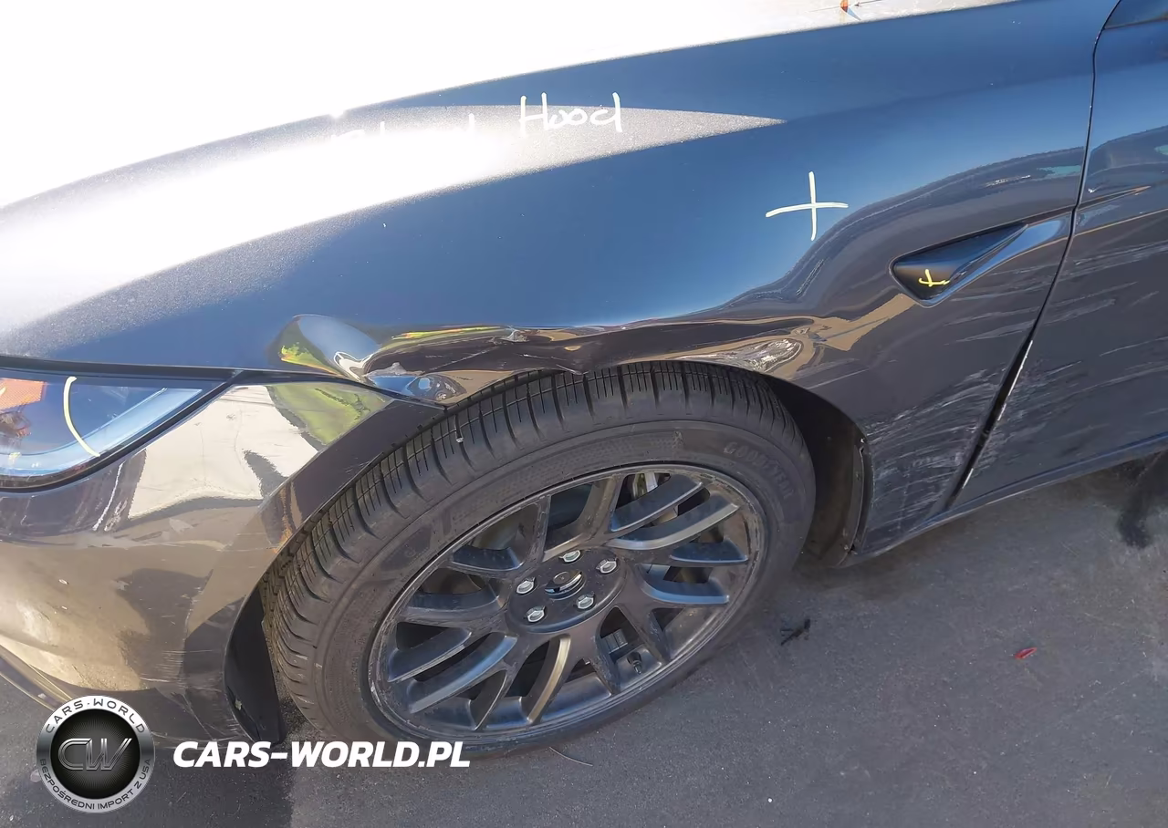 2025 Tesla Model 3 Long Range All-Wheel Drive VIN:5YJ3E1EB0SF902523 - 19