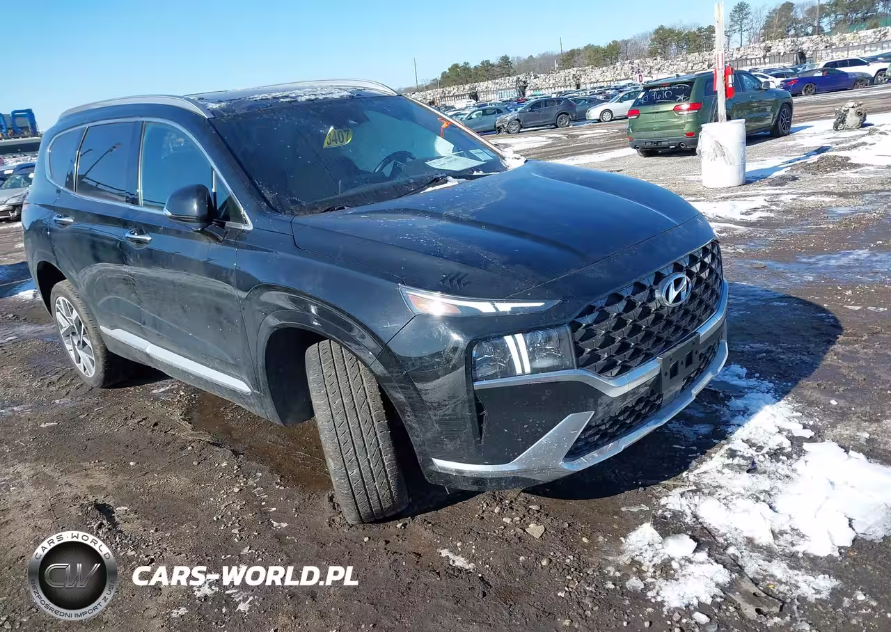 2023 Hyundai Santa Fe Calligraphy