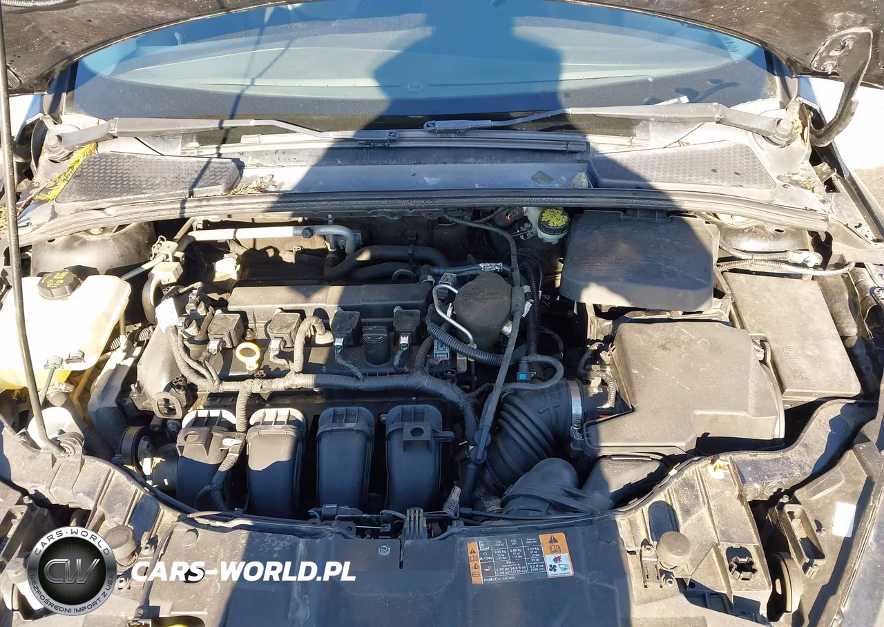 2015 Ford Focus Se VIN:1FADP3F23FL380598 - 10